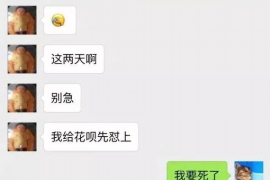 浦东企业清欠服务